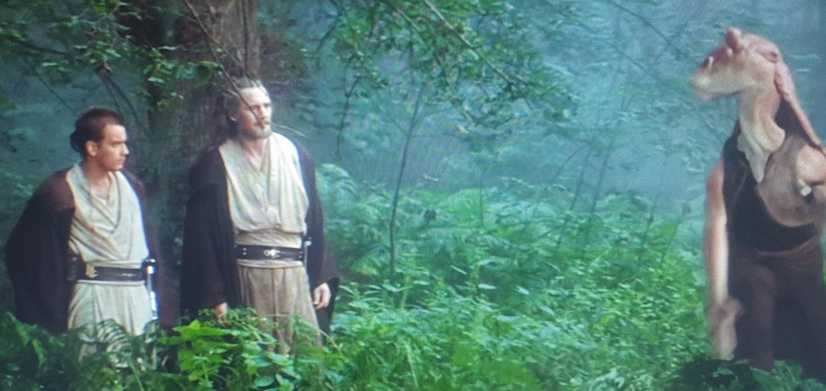 SamuPrivat's tweet photo. "Die Gungans nicht mögen Fremdelinge, also nicht zu herzlichen Empfang erwarten.
#FirstTimeWatchingStarWars https://t.co/uHOMfNS80I