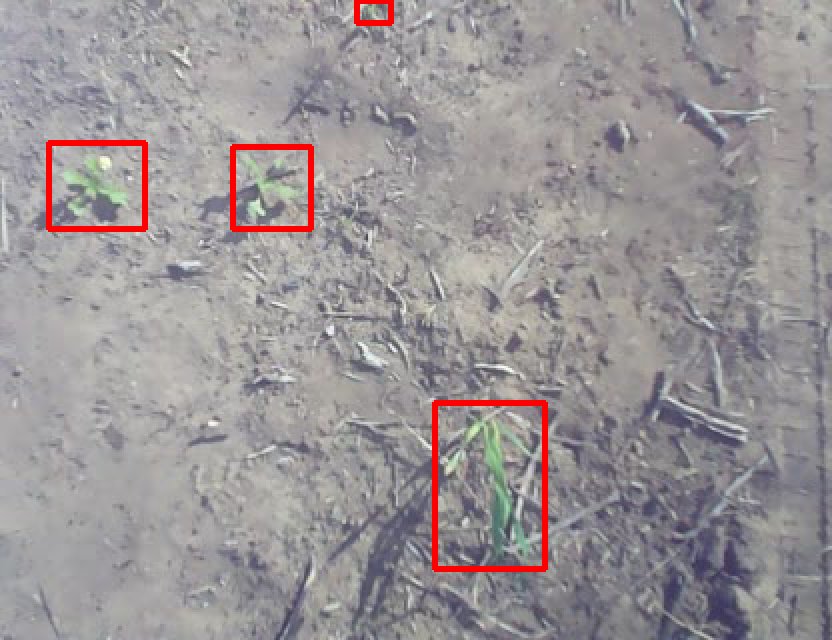 GeezaColeman's tweet image. Spot the difference:

One collected at 5km/h, the other at 30km/h, dust and all. Both with the #OpenWeedLocator software.