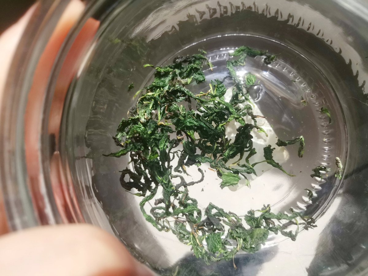 永远爱你的hh tweet media
