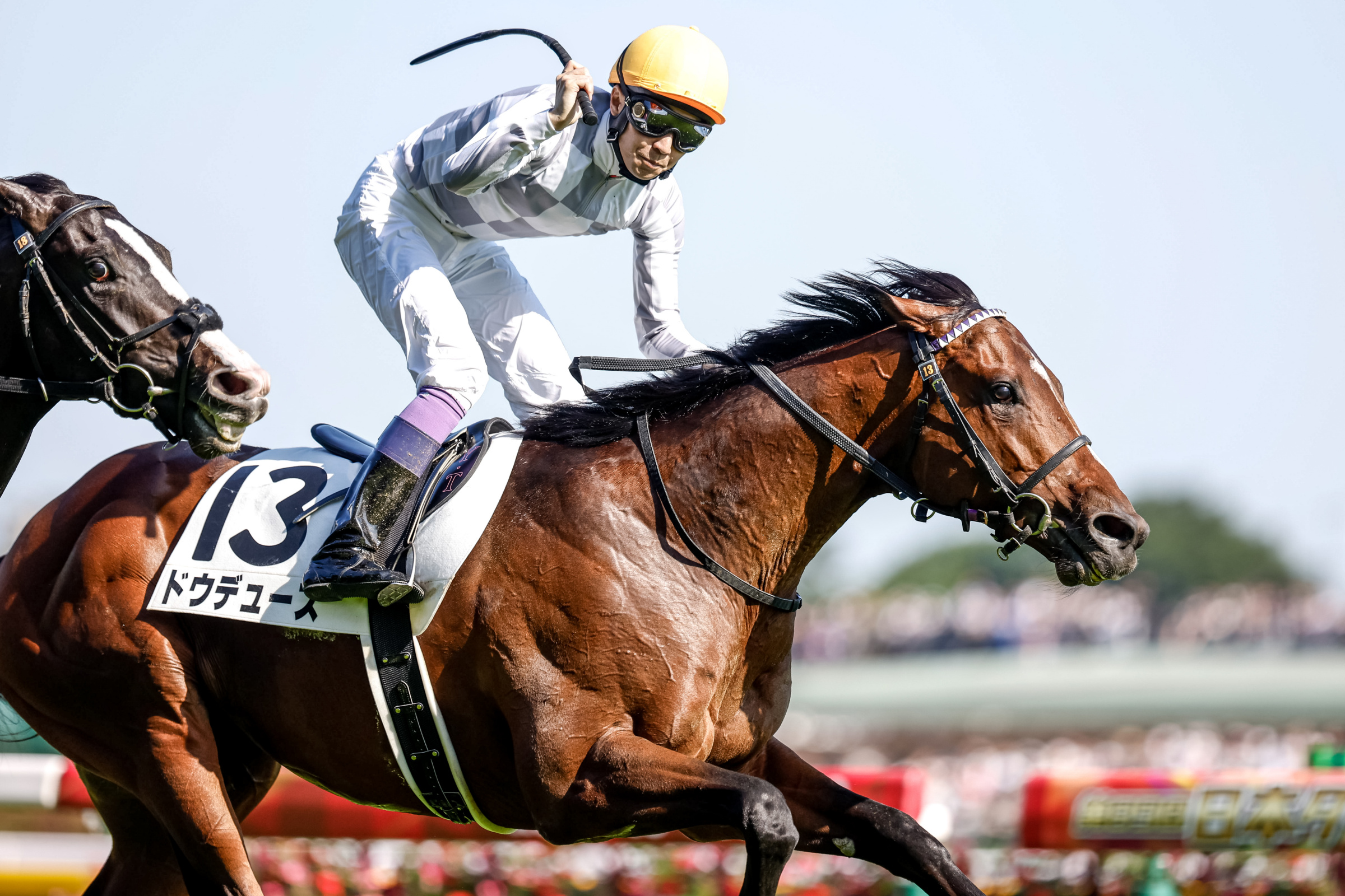 ㉒　競馬　JRA　◆　ドウデュース　◆　ゴルフマーカー　◆　日本ダービー　◆武豊 netkeiba on X: 