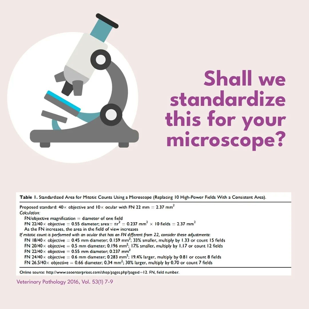 GeronimoJrLapac's tweet photo. #surgpath #pathology #gipath https://t.co/lJL9yjoLas