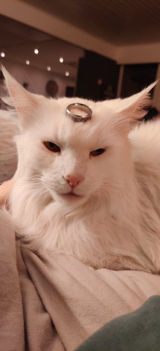 frxzy 🌩️x🌹 tweet media