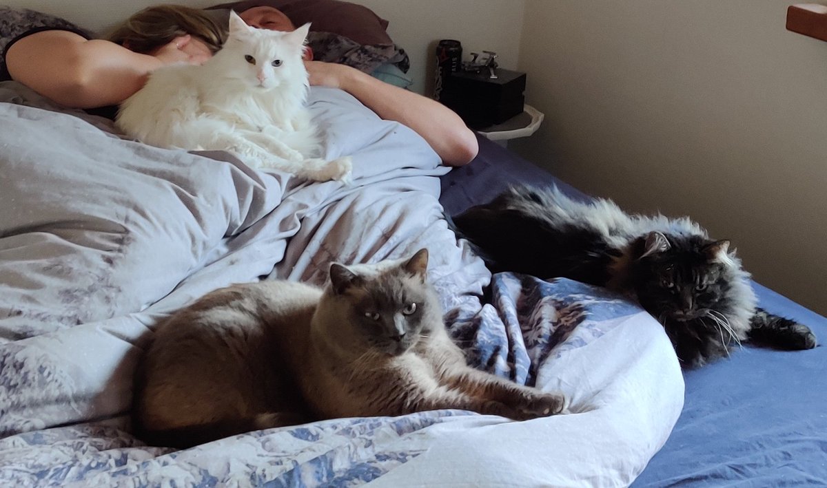 frxzy 🌩️x🌹 tweet media