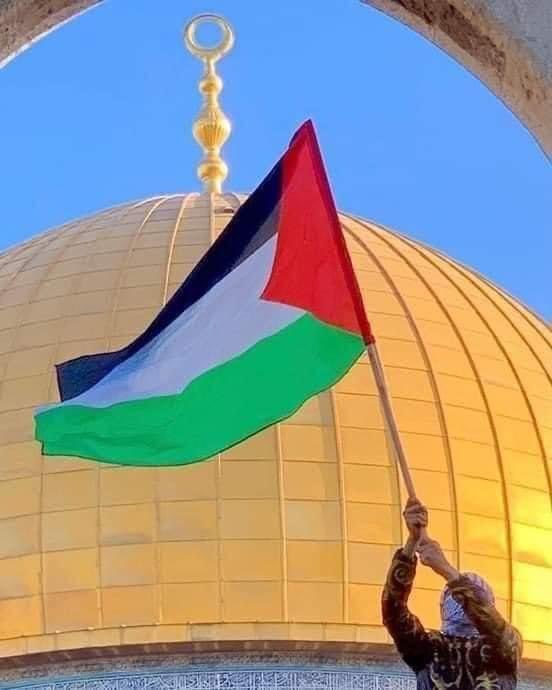 TamerMisshal's tweet photo. وسيبقى مرفرفاً في ربوع الأقصى وفلسطين https://t.co/718ilD1wiE