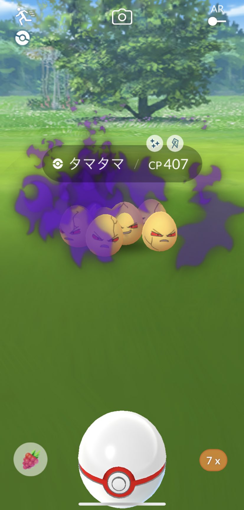 ラーメンマン 久しぶりの色違い シャドウ タマタマ ゴールド ポケモンgo イロチ T Co Crp4kwb9as Twitter