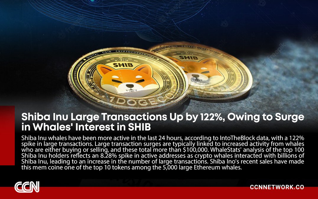 CCNnet's tweet photo. https://t.co/E4OGOKDZcg