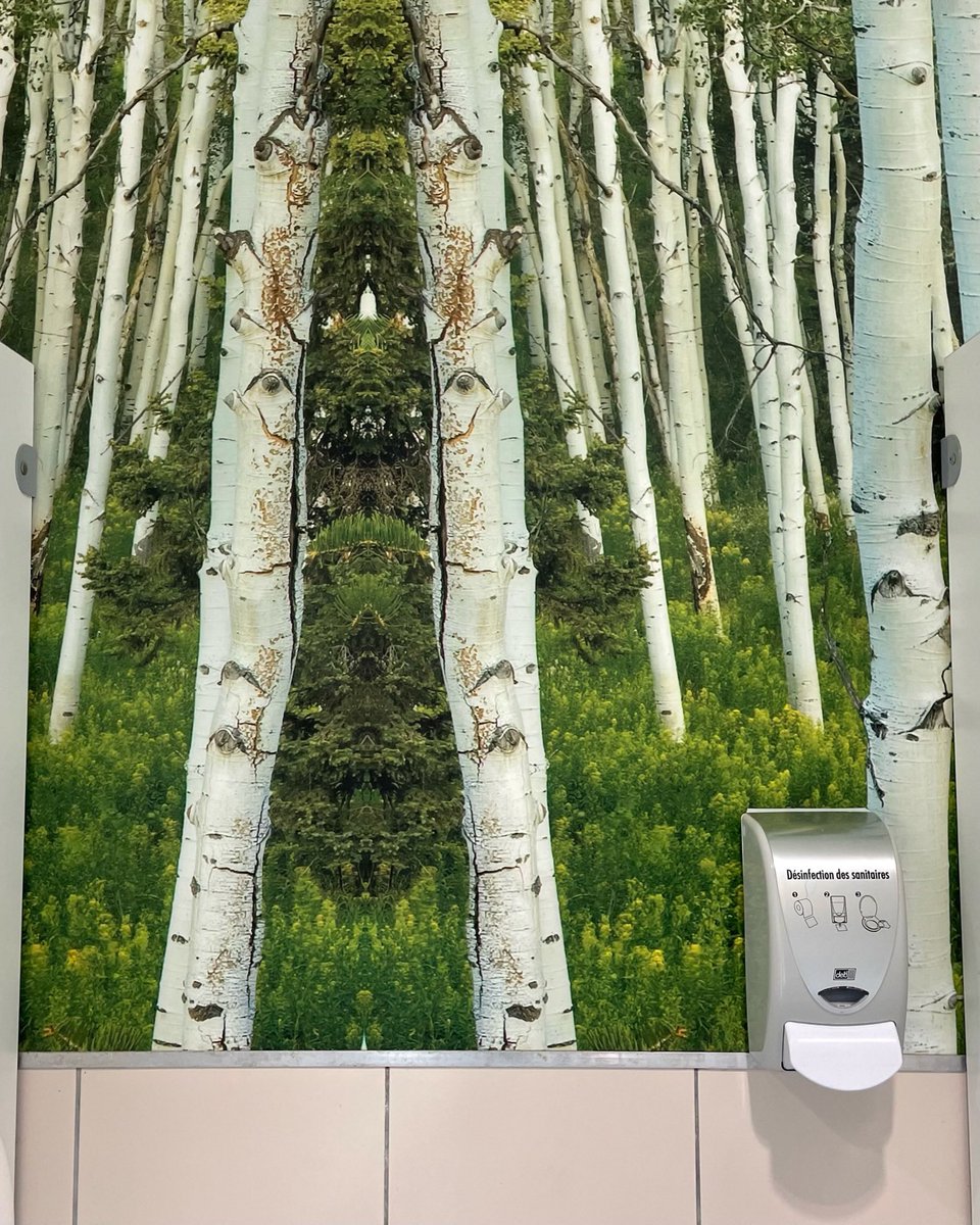 wildworldorg's tweet photo. #ForestBathing is a brilliant way of reconnecting with #nature, with the source. It’s calming and #reinvigorating. Excellent to see images of #forests used in #PublicToilets in #France, not quite the same as spending time in the #forest but still #calming.
#RewildingPeople https://t.co/9i132dwpWO