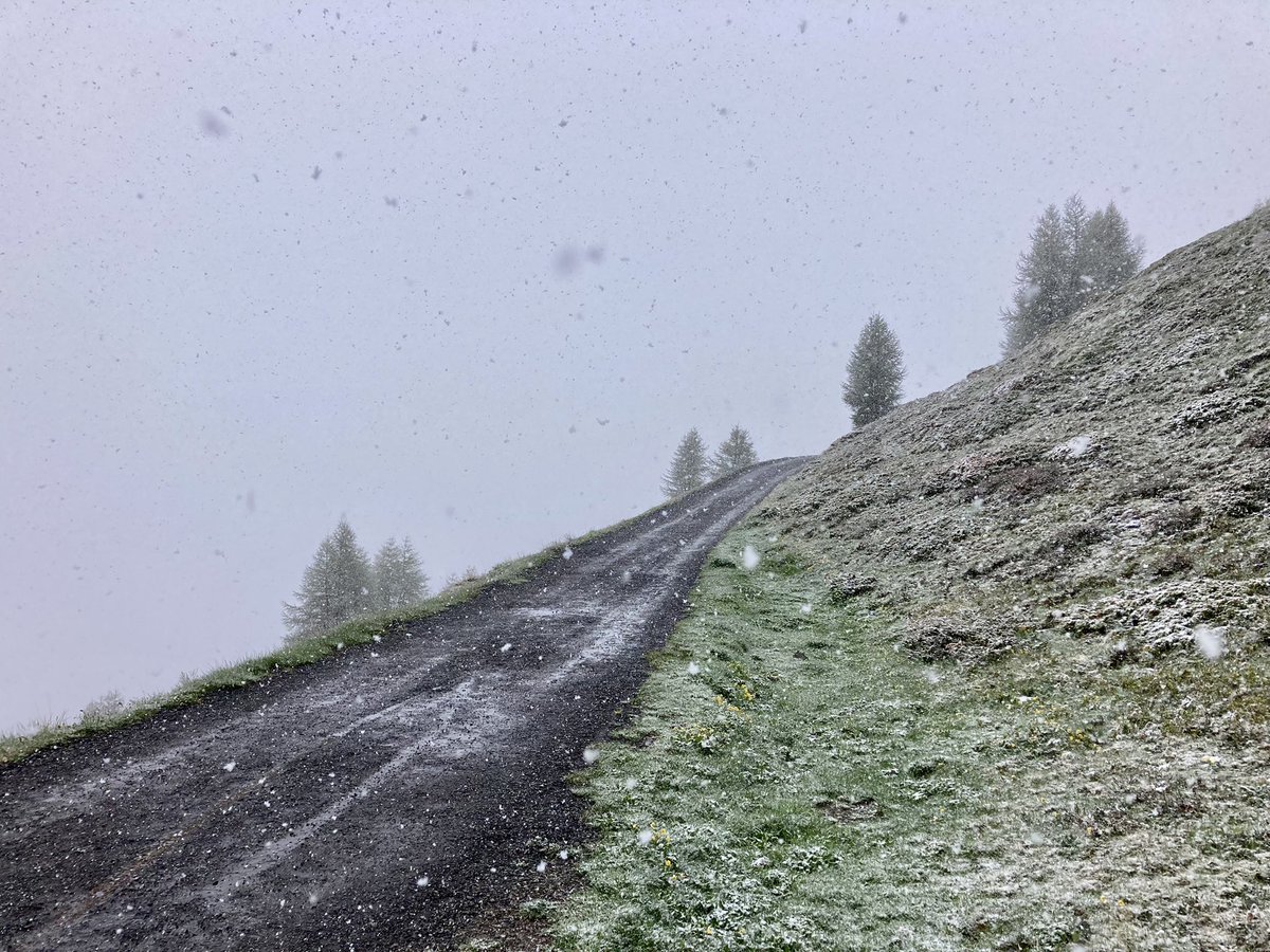 Anton Sintsov tweet media