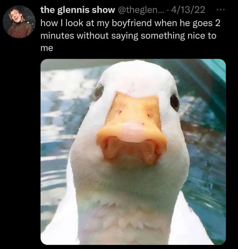 duckorpenguin (@duckorpenguin) on Twitter photo 