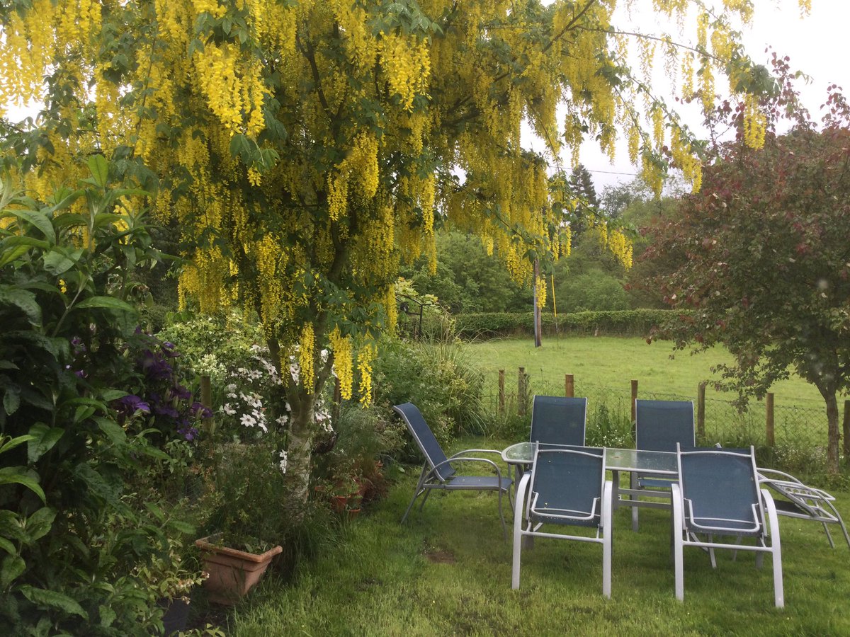 gaeliccara's tweet image. Stage is set for coffee and cake but the weather if flipping cold wet and  miserable.#WhenIsSummer