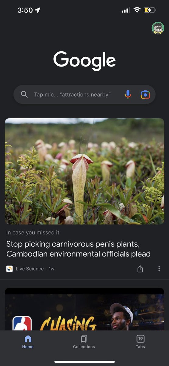 What in the actual fuck lol