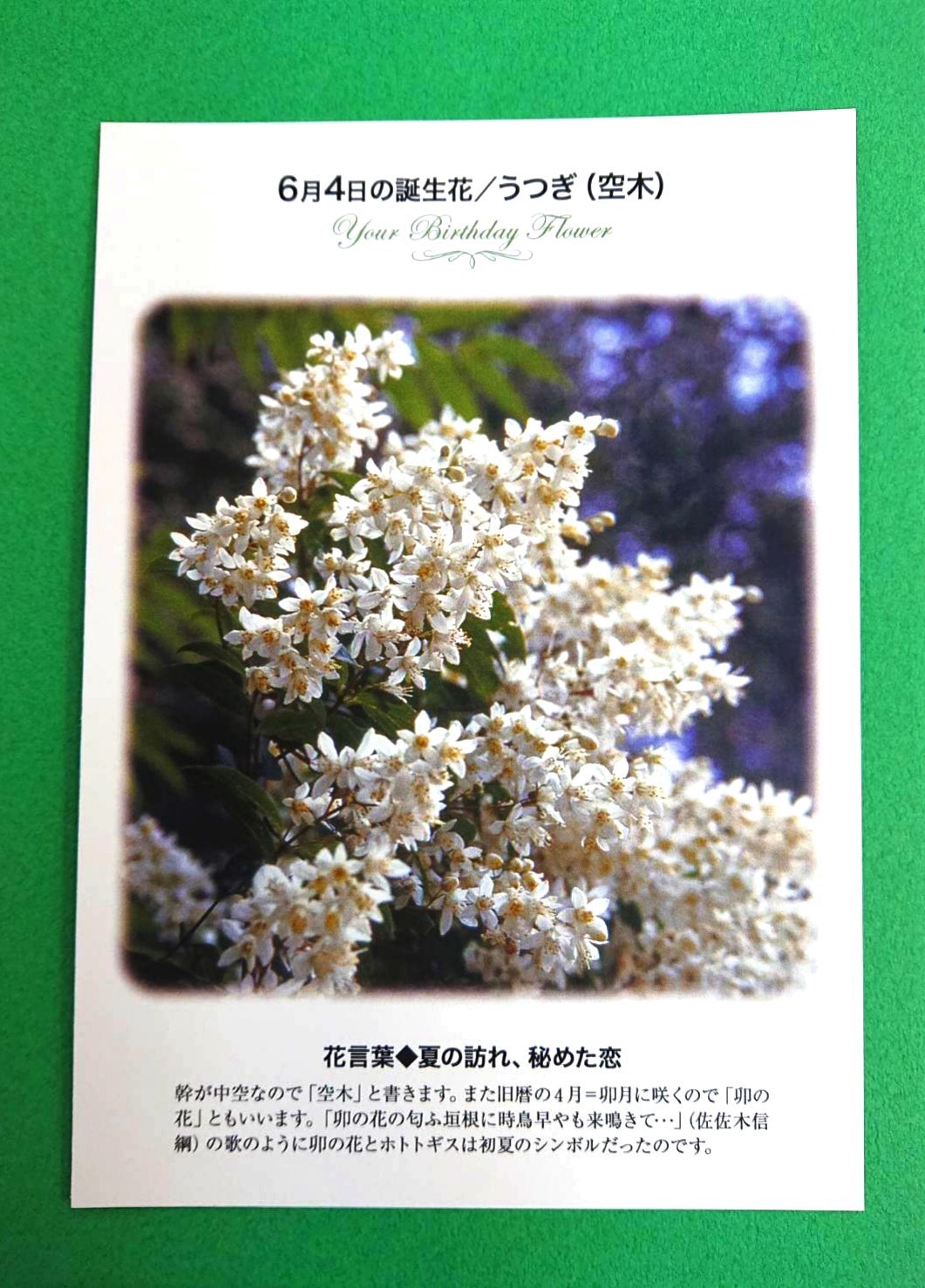 紀伊國屋書店 梅田本店 誕生花ポストカード 6 4の 誕生花 は うつぎ 幹が中空なので 空木 と書きます また旧暦の4月 卯月に咲くので 卯の花 ともいいます 花言葉 は 夏の訪れ 秘めた恋 文具売り場にて ポストカード販売中 S I
