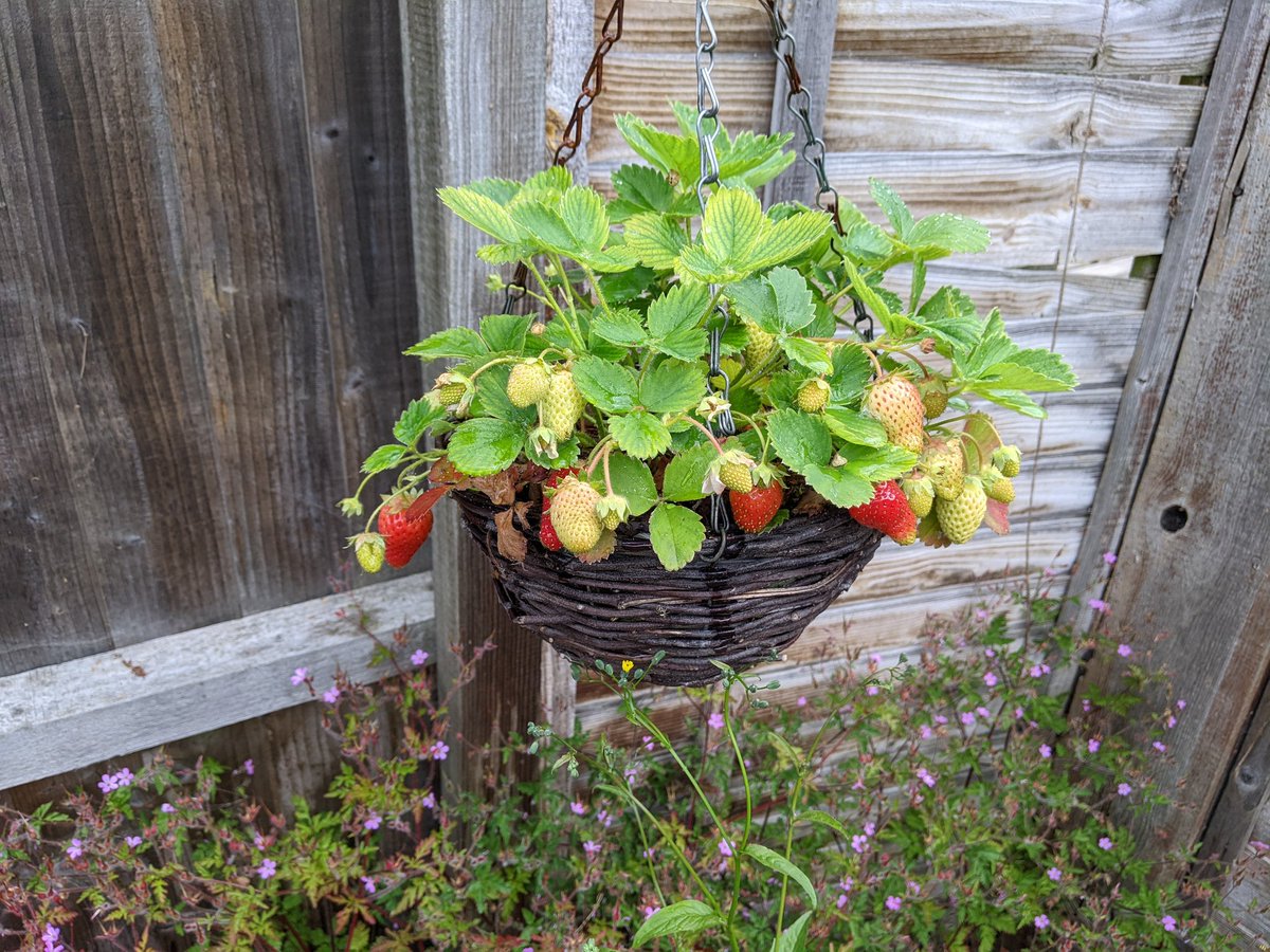 🧬🔬Dr Konichiwakitty👩🔬🧪 tweet media