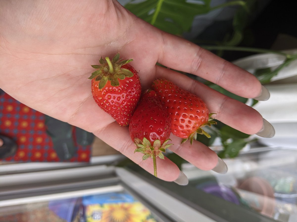 🧬🔬Dr Konichiwakitty👩🔬🧪 tweet media