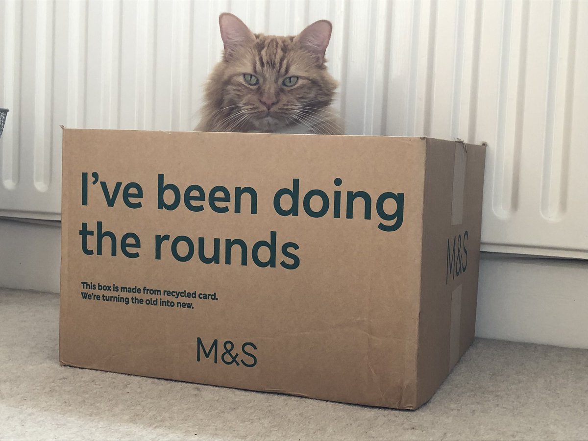 EricTheCat_Bham's tweet photo. Third box today. Mombie said she could do with a laugh & that I helped. Donโt understand! ๐ฆ๐ฆ๐ฆ ๐น๐น
Happy #CatBoxSunday furpals!
#EricTheCat #Cats #CatsOfTwitter #Hedgewatch #SundayVibes #DoingTheRounds https://t.co/s5yxSuDJxz