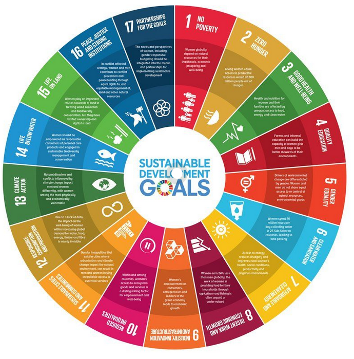1GlobalAcademy's tweet photo. The UN Sustainable Development Goals, or #SDGs, provide a powerful framework to align your research work with global priorities.
Use the articles on out blog to understand these 17 #GlobalGoals and the targets than underpin them.
https://t.co/TKCW6ixCOG https://t.co/CkdVy6LUkd