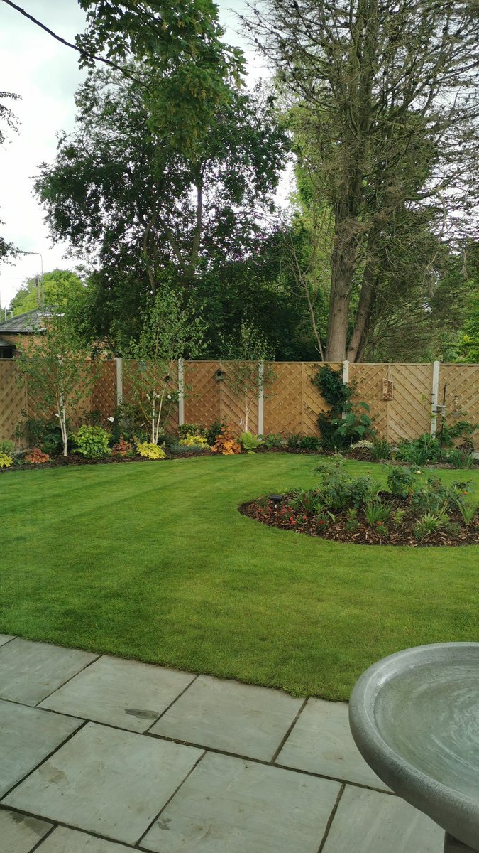 barebreads's tweet image. I can feed it to the trees to help the water?  Maybe? @Dougthegardener