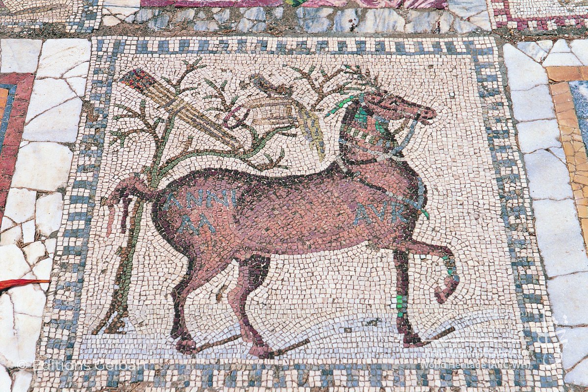 Archaeological Site of Carthage (#Tunisia)

From the 6th century onwards, it developed into a great trading empire covering much of the Mediterranean and was home to a brilliant civilization [UNESCO]. 

#ancientsite #mosaic #Archaeology