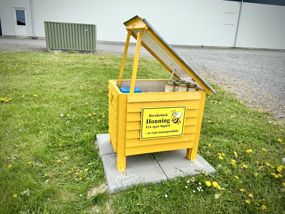 biodlaren's tweet photo. Shoppade lite rapshonning  i biavlerens lilla gds-butik vid vägen. Hela Bornholm är som ett enormt och dignande rapsfält https://t.co/wE4cUHXQn3