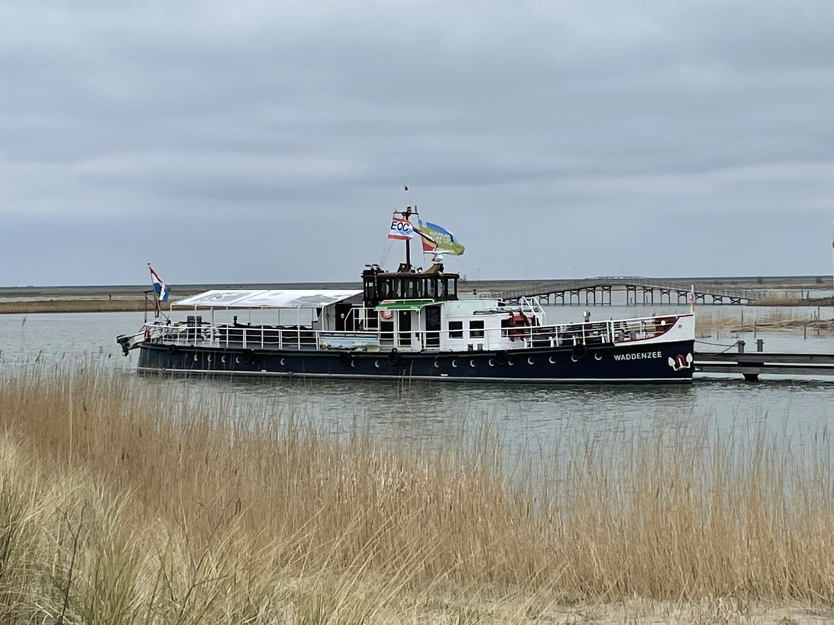 ms Waddenzee tweet media