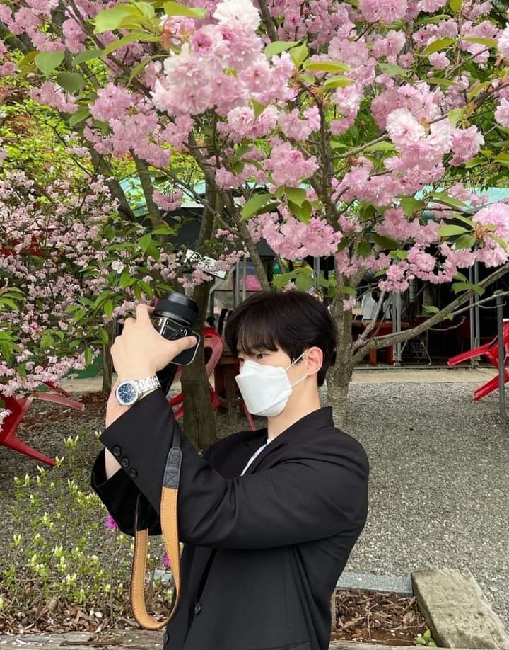 Boyfie