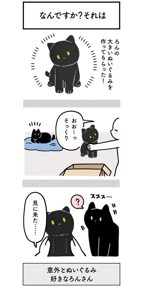 自分のぬいぐるみに興味を示す猫 取った行動に「なんて優しい子…!」 https://t.co/1wwCArTT9i @grapeejpより 