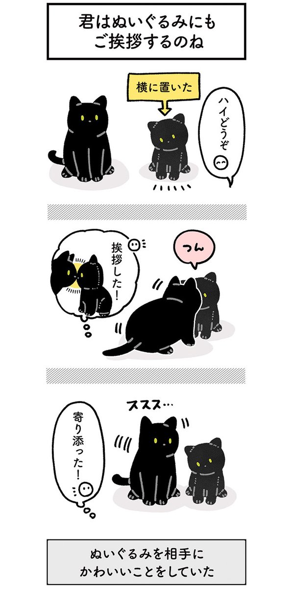 自分のぬいぐるみに興味を示す猫 取った行動に「なんて優しい子…!」 https://t.co/1wwCArTT9i @grapeejpより 