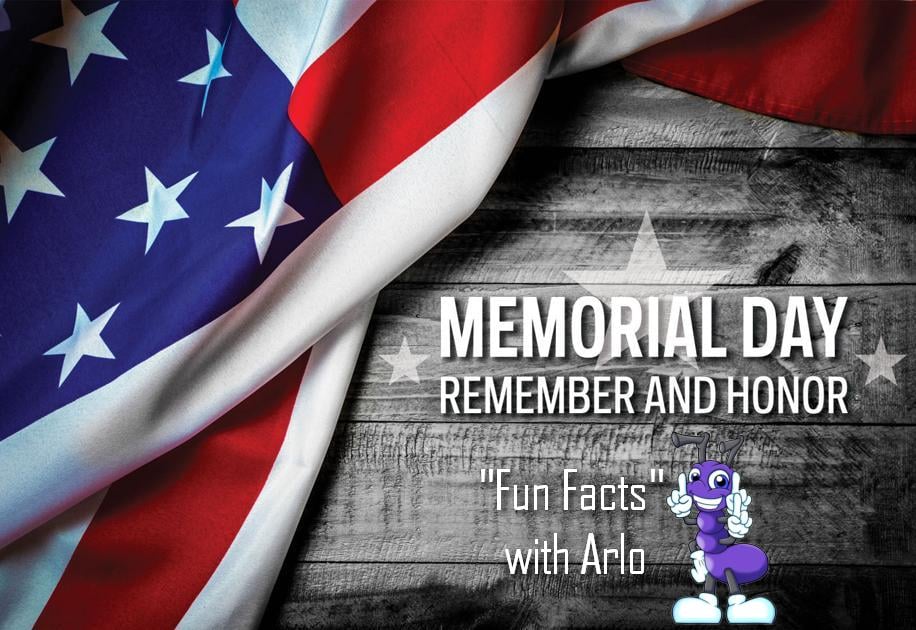 SmartChoicesIC's tweet image. Happy Memorial Day! 
Memorial Day is also known as Decoration Day which is marked by decorating the graves of war heroes with American flags. 
Thank you to Parenting First Cry for helping Arlo with fun facts about Memorial Day.
#SmartChoicesImageCards #StimulateImagination