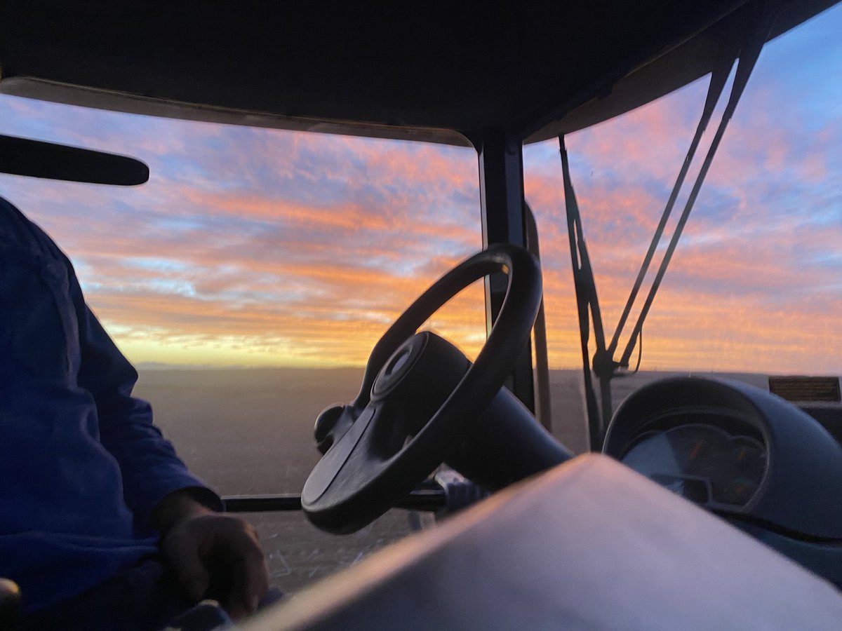 Crackin view out the office window tonight 👌🏾