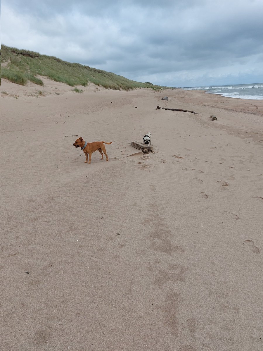 Can hardly move at the beach this morning