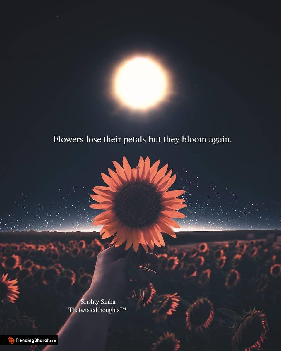 Podlasianin 🇵🇱🇪🇺 tweet media