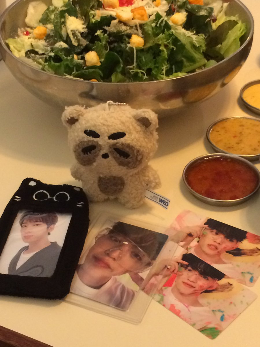 8earl_'s tweet photo. 풀먹는 너구리와 고양이를 본 적이 있습니까? https://t.co/U86D0dDxr4
