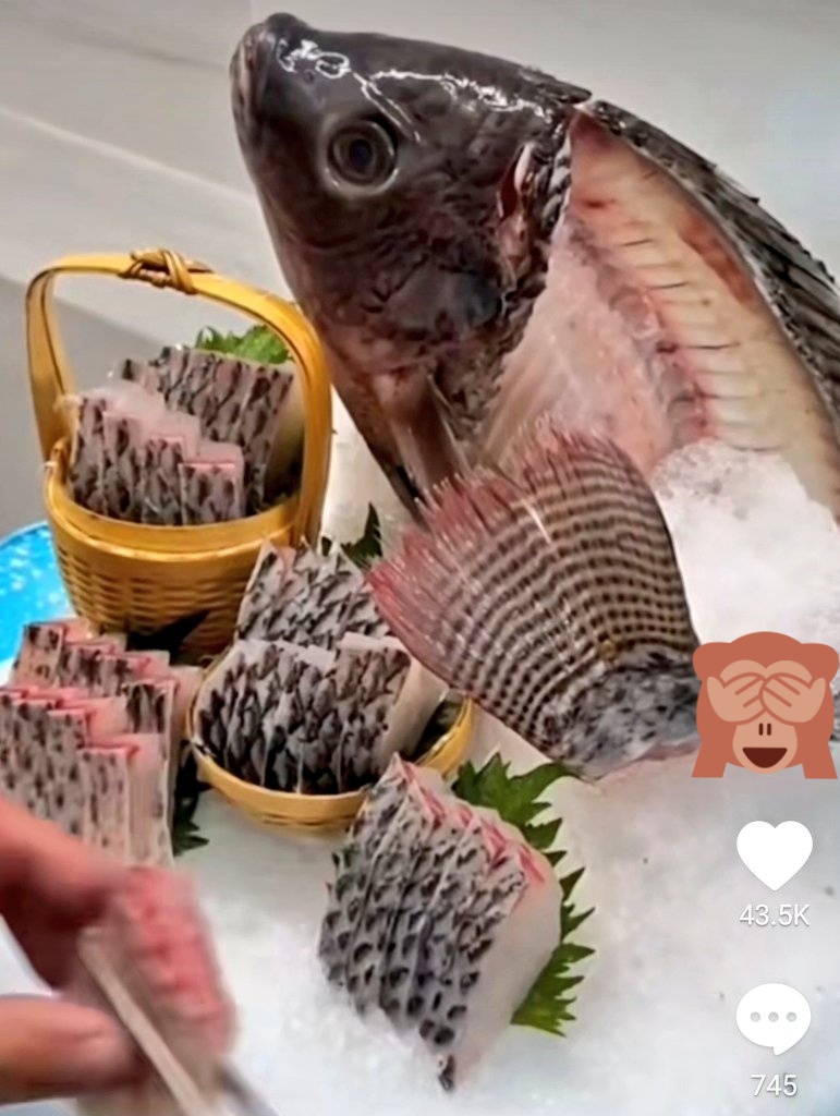 ซาซิมิปลานิล  🤢

คำแรกขึ้นสมอง คำที่สองขึ้นสวรรค์