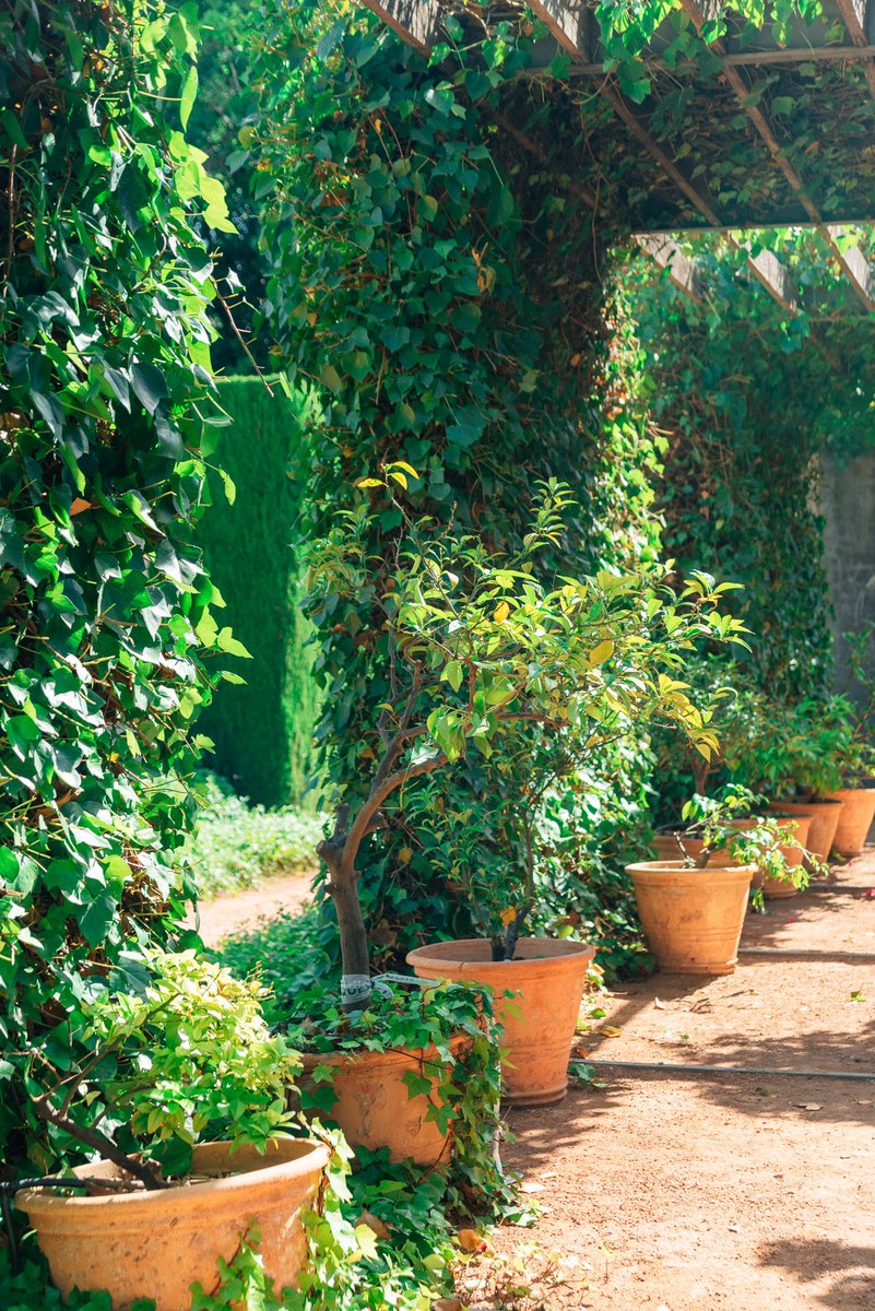 Serialparc (@serialparc) on Twitter photo Un dia per a gaudir de la primavera a la ciutat. Arranca l'últim serialparc de la temporada des del teu nou racó favorit. 🌷🌞
@el_buen_hijo - <a href="/francisconixon/">Francisco Nixon</a> - <a href="/sierraleonasoy/">SIERRA LEONA</a>
Amb <a href="/CervezaElAguila/">Cerveza El Águila</a>, <a href="/dice_spain/">DICE España</a>, <a href="/AjuntamentVLC/">Ajuntament València</a>, <a href="/SAV_lavega/">sav</a>, <a href="/Avapace/">AVAPACE</a>, tuawa, <a href="/elbandarra/">El Bandarra</a>. Un dia per a gaudir de la primavera a la ciutat. Arranca l'últim serialparc de la temporada des del teu nou racó favorit. 🌷🌞
@el_buen_hijo - <a href="/francisconixon/">Francisco Nixon</a> - <a href="/sierraleonasoy/">SIERRA LEONA</a>
Amb <a href="/CervezaElAguila/">Cerveza El Águila</a>, <a href="/dice_spain/">DICE España</a>, <a href="/AjuntamentVLC/">Ajuntament València</a>, <a href="/SAV_lavega/">sav</a>, <a href="/Avapace/">AVAPACE</a>, tuawa, <a href="/elbandarra/">El Bandarra</a>.
