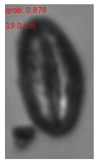 Niccolò Maffezzoli tweet media