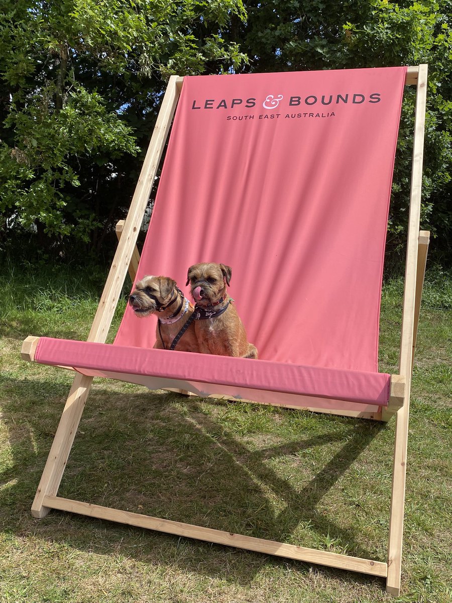 MastercardUK's tweet photo. Is there any better way to spend a weekend than surrounded by Goodwoof pups? We think not. ๐๐ถ #goodwoofdogs #gwdogs_mars https://t.co/EU5jiICNNO