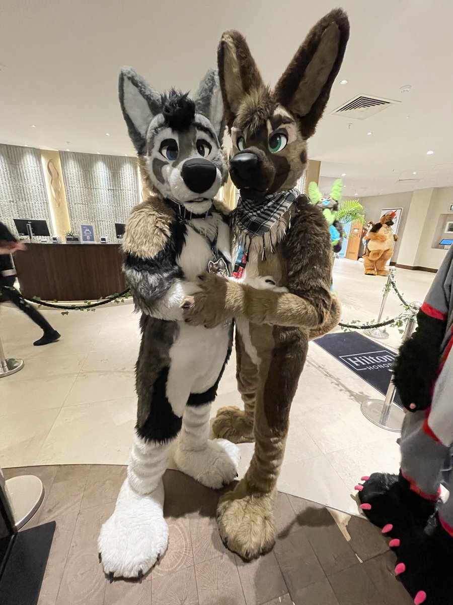 Medium long                  Extra long