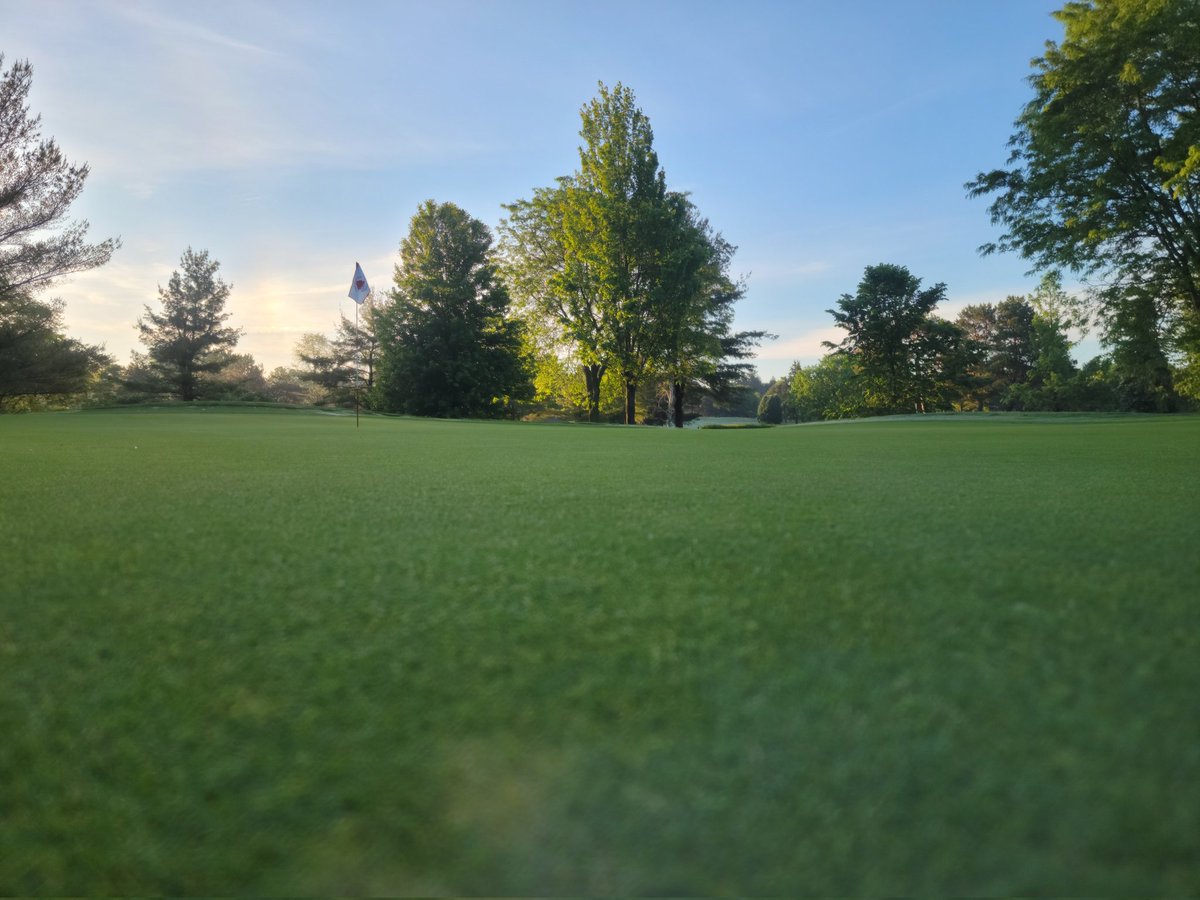 Chad Hall tweet media