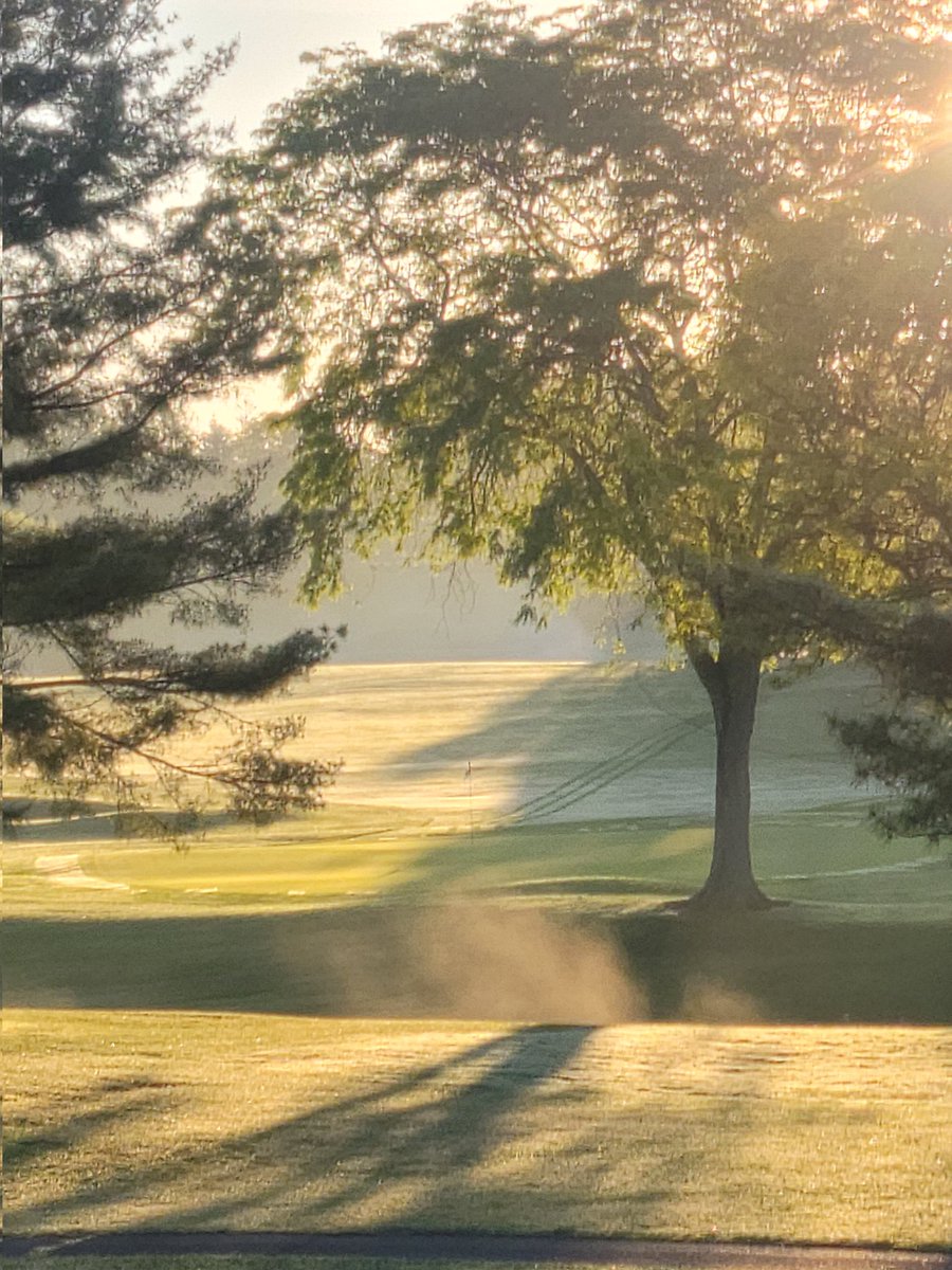 Chad Hall tweet media