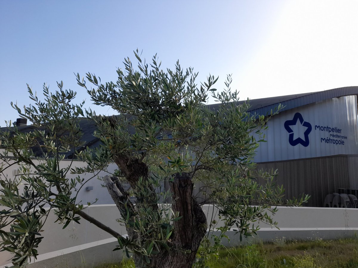 LionelSaugues's tweet photo. Après Paris, Lyon, Saint-Etienne, Nîmes, Perpignan... nous poursuivons nos rencontres sur le terrain entre @FFACOMMERCANTS et les unions commerciales comme ce vendredi à Montpellier lors du match @mhbofficiel vs @HBCNantes grâce aux équipes de notre partenaire @AesioMutuelle https://t.co/rBuPVrTbFH