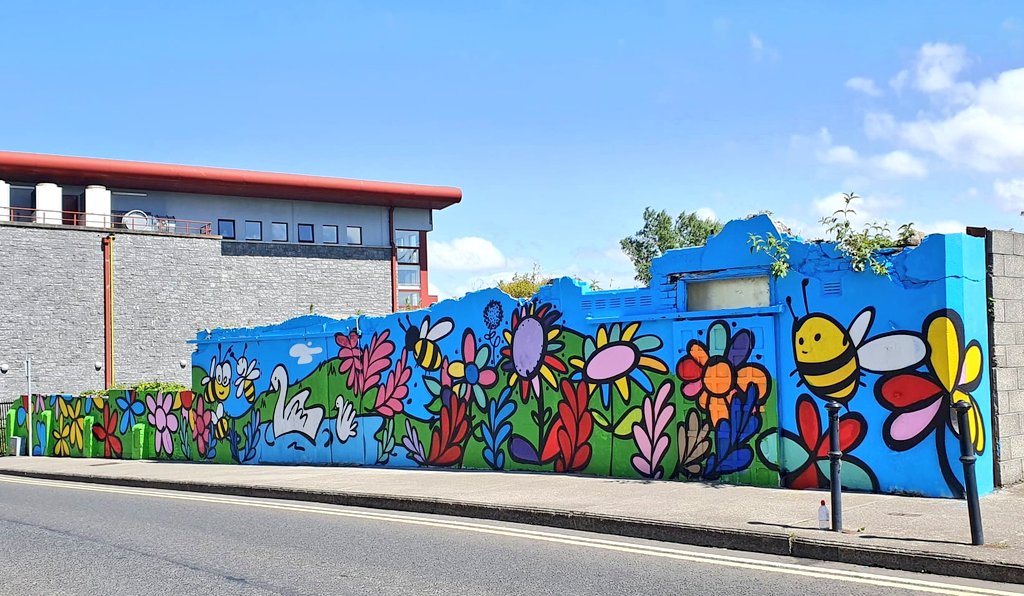 BallinaFringe's tweet photo. We finally finished our 2020 festival today, after Covid disruptions! @MaserArt was back in town to work with the young ppl from Ballina Neighbourhood Youth Project (Foroige) to create this vibrant piece of street art, which reflects Ballina's rich urban flora+fauna. #PureBallina https://t.co/IzdhUSAEMO