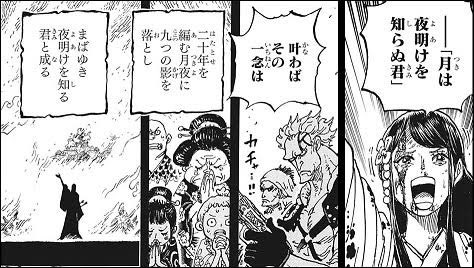 ワンピース 赤鞘九人男 の強さはいかほどか 新たなメンバーはやはり 漫画情報 Info