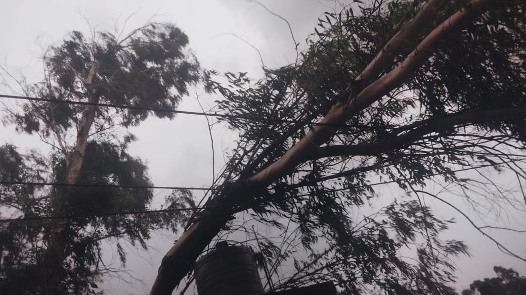 जनपद बागपत एवं मेरठ में चक्रवाती आंधी/तूफान के कारण कई क्षेत्रों में विद्युत आपूर्ति बाधित हुई है।

त्वरित कार्य करके आपूर्ति सामान्य बनाने के लिए एमडी, पश्चिमांचल विद्युत वितरण कम्पनी को कहा है।

#HumaraUP <a href="/UPPCLLKO/">UPPCL</a> <a href="/RSSorg/">RSS</a> <a href="/narendramodi/">Narendra Modi</a> <a href="/JPNadda/">Jagat Prakash Nadda</a> <a href="/myogiadityanath/">Yogi Adityanath</a> <a href="/UPGovt/">Government of UP</a>