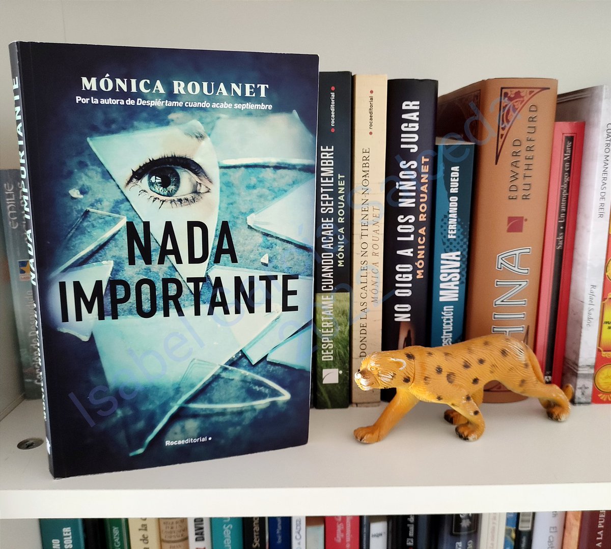 Unsurconmuchono's tweet photo. Reencuentro con el #thriller y el impecable #ardid que @MonicaRouanet consigue en su última novela #NadaImportante
Ed. @RocaEditorial
#ViolenciaContraLaMujer
#etapas #evolución #sociedad #España #mujer #feminismo #salud #machismo #cultura #MadresEHijas #criminal https://t.co/kossibMLnm
