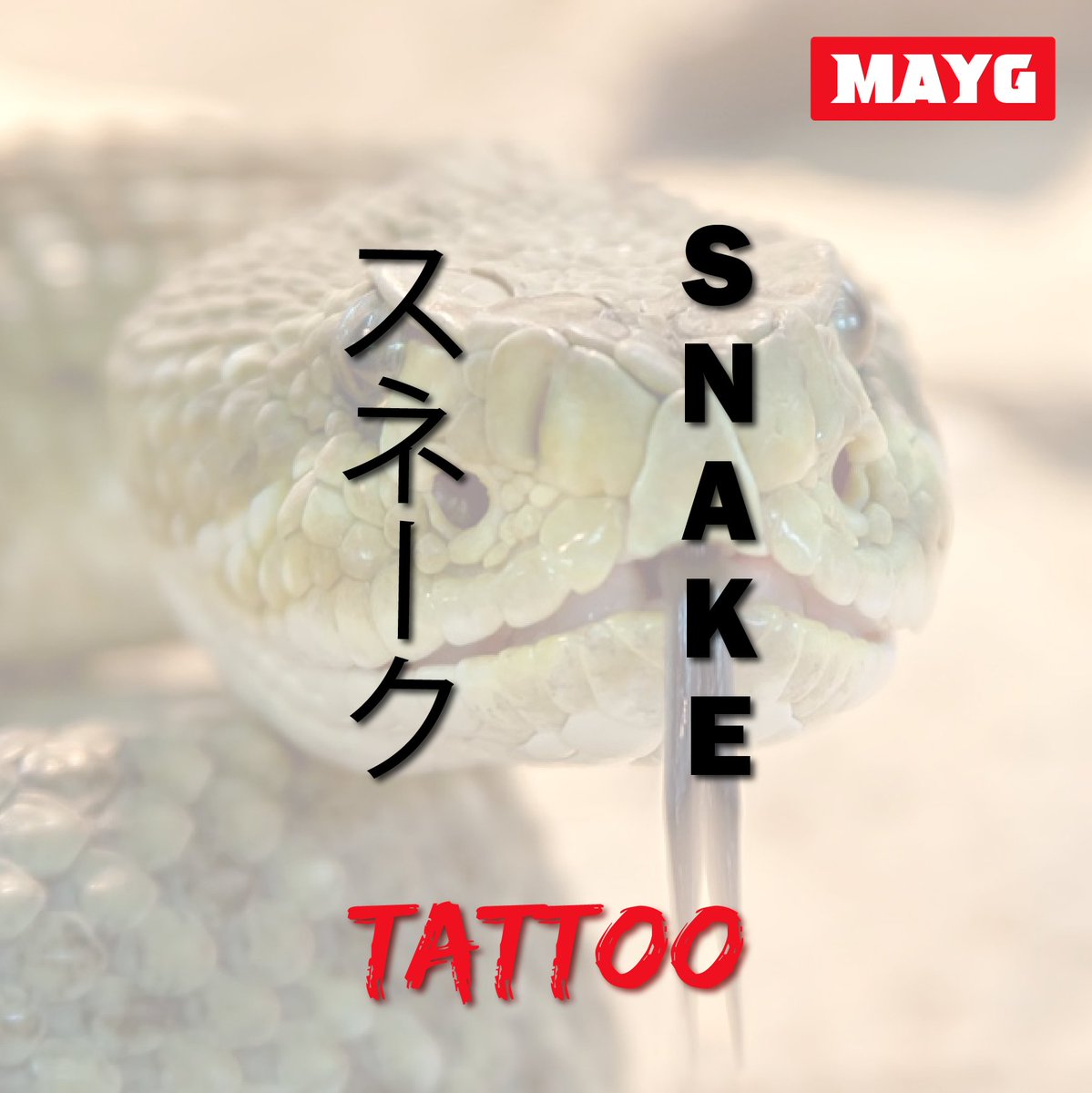 MAYG - My Angry Yakuza Girlfriend tweet media