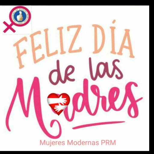 Federación_Mujeres_Modernas tweet media