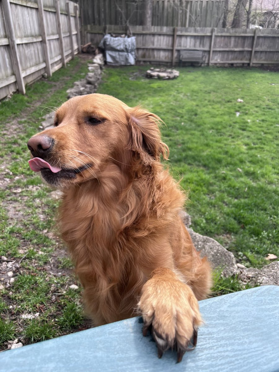 Jay aka SplatZ tweet media