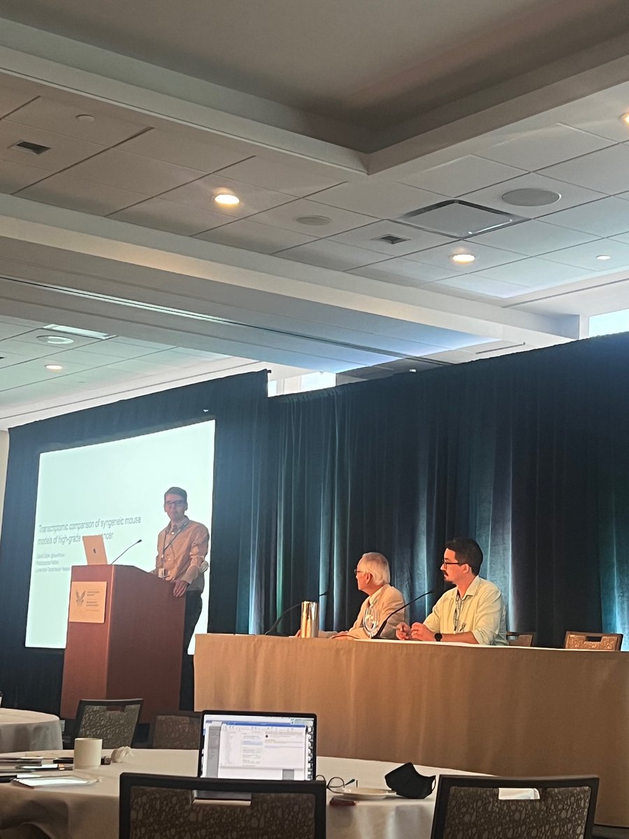 Queen's Ovarian Cancer Club tweet media