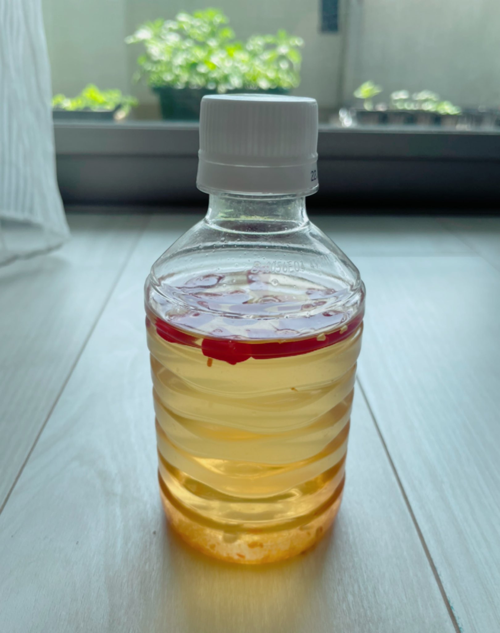 智里 家庭菜園の野菜たち アブラムシ対策にストチュウ作って試してます お酢焼酎唐辛子 少し黒糖 野菜のミネラル補給だそう 原液は長持ちするそうですが 恐る恐るでミニボトル 笑 ところが 数滴スプレーにまぜて2 3日に一度葉の裏や若芽へひと月