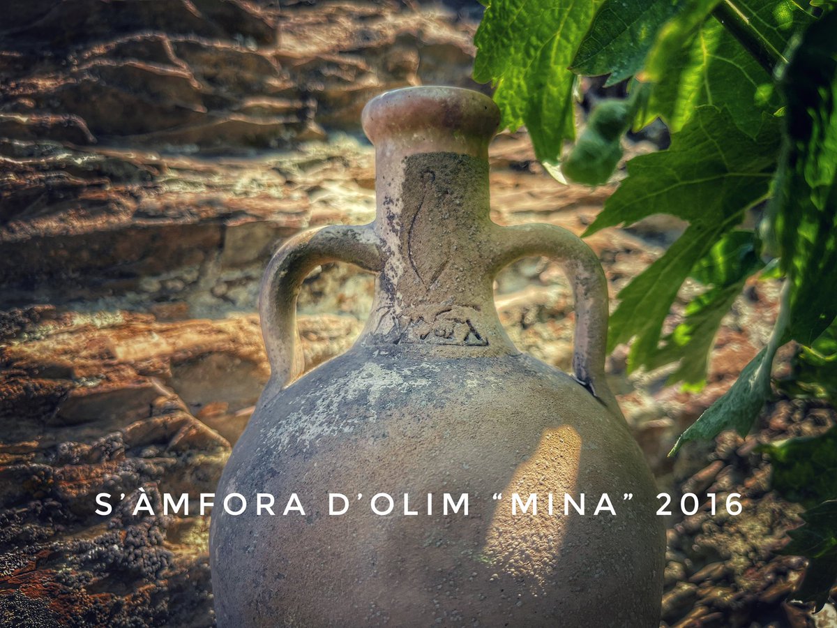 No comments 🍷

samfora.com

#vidamfora #samfora 
<a href="/doqpriorat/">DOQ Priorat</a>